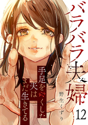 バラバラ夫婦～手足をなくした夫はまだ生きてる１２