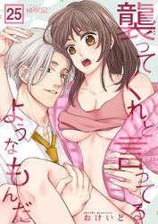 襲ってくれと言ってるようなもんだ 25