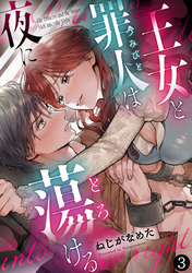 王女と罪人は夜に蕩ける: 3