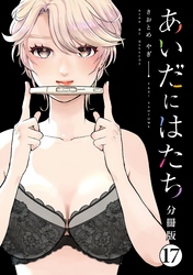 あいだにはたち　分冊版（１７）