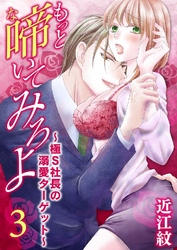 もっと啼いてみろよ～極S社長の溺愛ターゲット～ 3巻