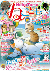 ねこともvol.39