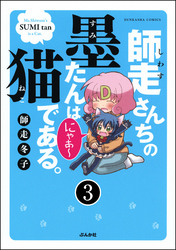 師走さんちの墨たんは猫である。（分冊版）　【第3話】