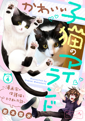 かわいい子猫のアイランド　～漫画家が保護猫を引き取った話～　ベツフレプチ（４）