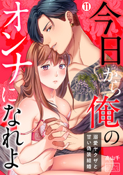 今日から俺のオンナになれよ～溺愛ヤクザと甘い偽装結婚～(11)