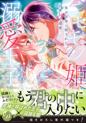 ニセモノ姫と溺愛王子～氷の仮面に隠された10年目の渇愛～４【描き下ろし番外編つき】
