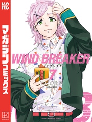 ＷＩＮＤ　ＢＲＥＡＫＥＲ（７）