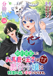 婚約破棄したお馬鹿な王子はほっといて、悪役令嬢は精霊の森で幸せになります。【分冊版】18