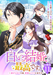 白い結婚、最高です。～虐げられた令嬢、新妻とメイドを兼任中～【分冊版】11