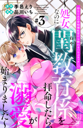 幼なじみの宰相補佐官から教わる『らぶエッチ』！？～処女なのに閨教育係を拝命したら、溺愛が始まりました～　分冊版（３）