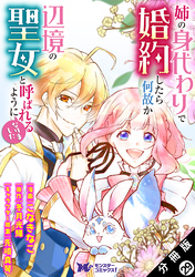 姉の身代わりで婚約したら何故か辺境の聖女と呼ばれるようになりました（コミック） 分冊版 29