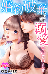 婚約破棄されたのに溺愛されています 11