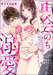 再会のち溺愛 二度目の愛を刻みつけて　（3）