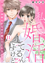 私、婚活してるんですけど！？～エリート御曹司がなぜか離してくれないワケ～11