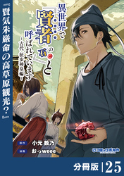 異世界で『賢者……の石』と呼ばれています【分冊版】（ポルカコミックス）２５