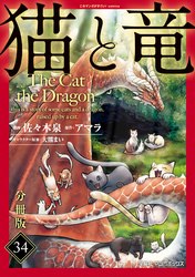 猫と竜【分冊版】34