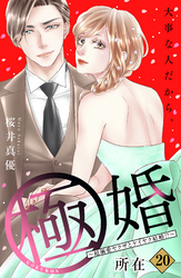 極婚～超溺愛ヤクザとケイヤク結婚！？～　分冊版（２０）