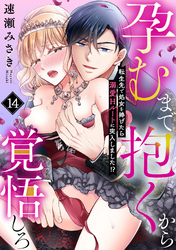 孕むまで抱くから覚悟しろ～転生先で処女を捧げたら溺愛Hルートに突入しました！？～(14)