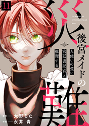 後宮メイドの災難～人使いの荒い宮廷書記官と推理する～(11)