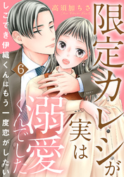 限定カレシが実は溺愛くんでした　しごでき伊織くんはもう一度恋がしたい6