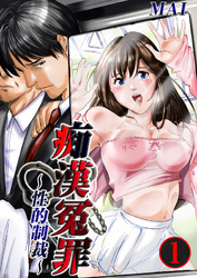 痴漢冤罪～性的制裁～