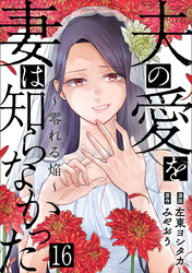 夫の愛を妻は知らなかった～零れる焔～ 16巻