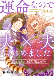 運命なので夫×夫はじめました　完全版～Loveless SEX Tiger～【特典ペーパー付】