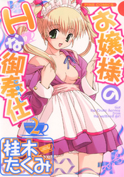 お嬢様のHな御奉仕2