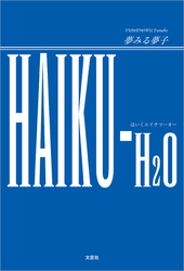 HAIKU-H2O