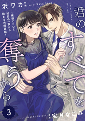 comic Berry’s君のすべてを奪うから～俺様CEOと秘密の一夜から始まる夫婦遊戯～3巻