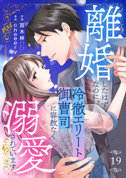 離婚したはずなのに、冷徹エリート御曹司に容赦なく溺愛されています１９