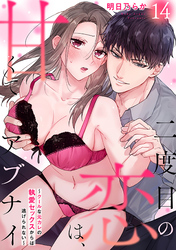 二度目の恋は、甘くてアブナイ～クールな元カレの執愛セックスからは逃げられない～(14)