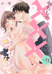 わたしの×××に気づかないで　住み込み家政婦なのにひとりえっちがやめられません 【短編】ep.11