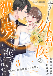 偽りの婚約は蜜よりも甘く～エリート外科医の独占愛からは逃げられない～3巻