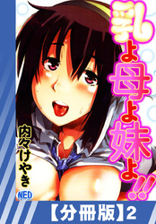【分冊版】乳よ母よ妹よ！！（２）