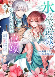 【特装版】氷の侯爵様とかりそめの花嫁～愛のない王命婚なのに、なぜか溺愛されてます～（５）【描き下ろしイラスト付き】