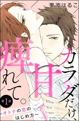 カラダだけ、甘く痺れて。 ～オトナの恋のはじめ方～（分冊版）