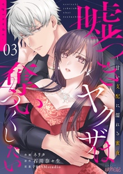 嘘つきヤクザは奪いつくしたい～甘い支配に濡れる蜜夜 3