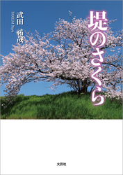 堤のさくら