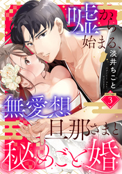 嘘から始まる、無愛想旦那さまと秘めごと婚 marriage.3《カノンミア》