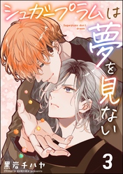 シュガープラムは夢を見ない（分冊版）　【第3話】