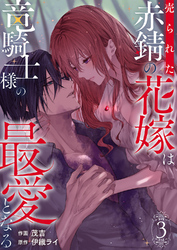 売られた赤錆の花嫁は竜騎士様の最愛となる【電子単行本版／特典おまけ付き】３
