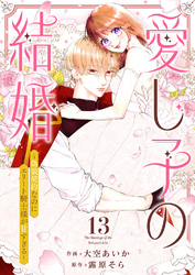愛し子の結婚～偽装契約なのにエリート騎士様が甘すぎる～１３