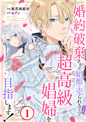 【期間限定　無料お試し版】婚約破棄されて娼館に売られる（予定）なので、超高級娼婦を目指します！