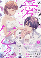 ひざまずいて、愛を乞え～御曹司の一途な愛執～3