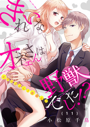 きれいなオネエさんは野獣でした！？～エリートさんと社畜女子(11)