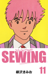 SEWING　愛蔵版(11)