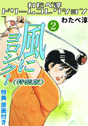 風にヨロシク！2<特典原画付き特装版>・わたべ淳ドリームコレクション