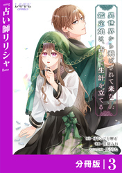 異世界から飛ばされて来た鑑定娘は、占いで生計を立てる【分冊版】３