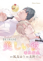 「美しい彼」番外編集【電子限定版】